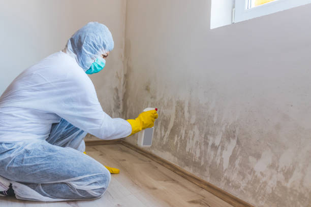 Bathroom Mold Removal assessment in Lindenhurst bathroom
