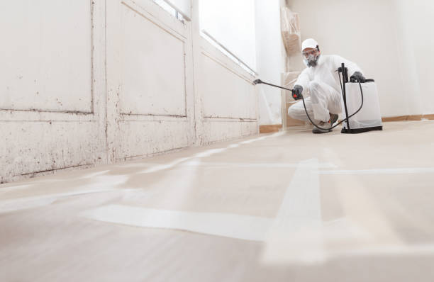 Black mold remediation team in Lindenhurst